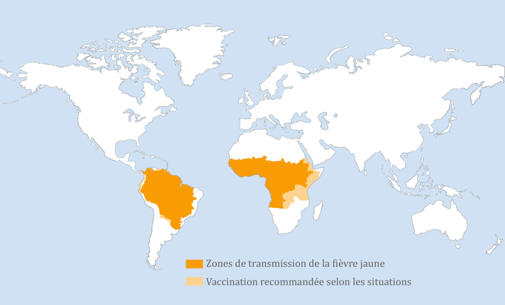 Vaccin Fièvre Jaune Conseils aux voyageurs Institut Bouisson Bertrand